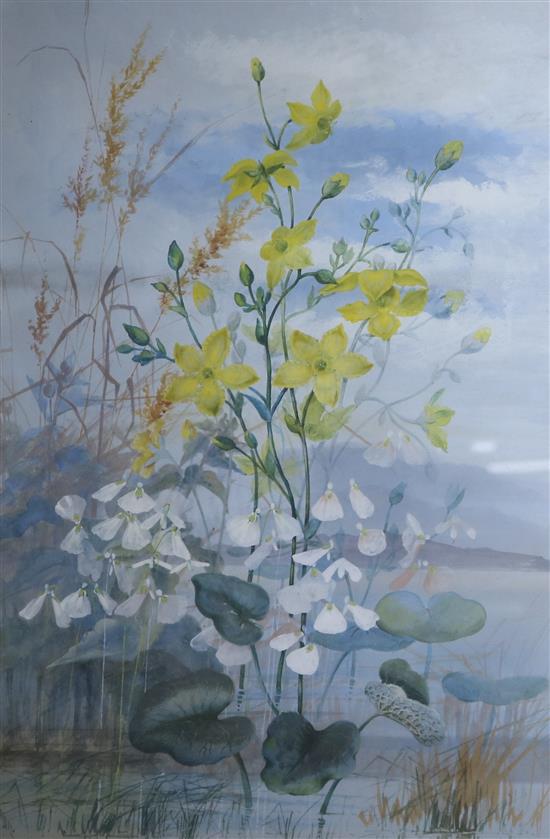 Rowan Marsh flowers still life 52 x 35cm